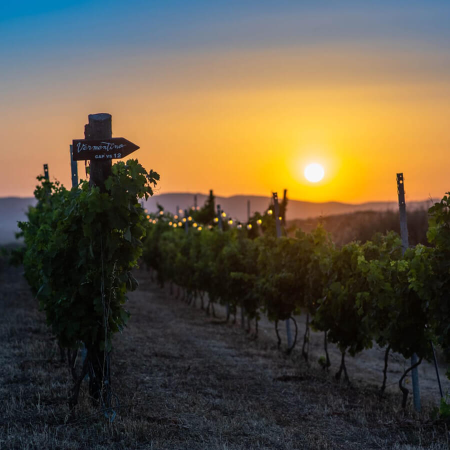Agricocktails - Petra Bianca - Tenuta Agricola Biologica