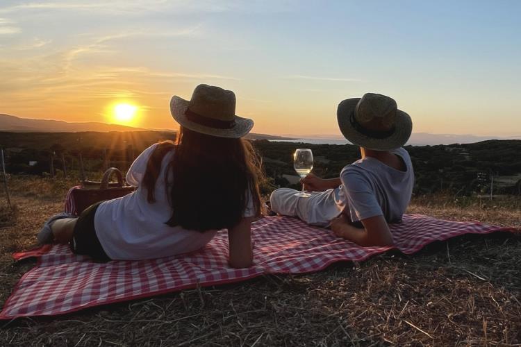 Picnic in the Vineyard - Petra Bianca