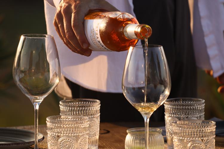 Picnic in the Vineyard - Petra Bianca