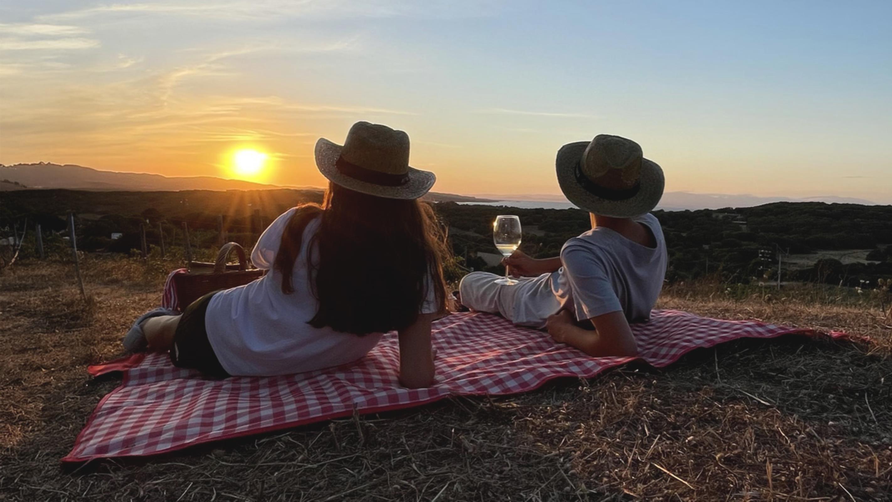Picnic in the Vineyard - Petra Bianca